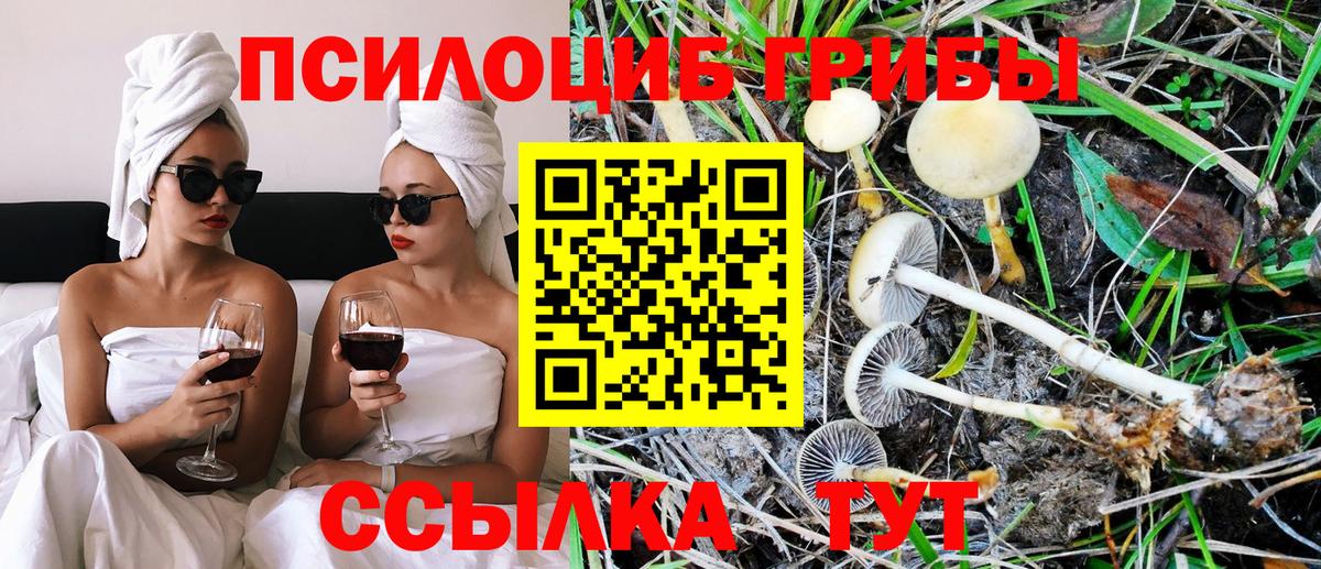 Сердобск  Псилоцибиновые грибы GOLDEN TEACHER  Вход с VPN 
